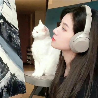 白痴5和哭喊的夫人